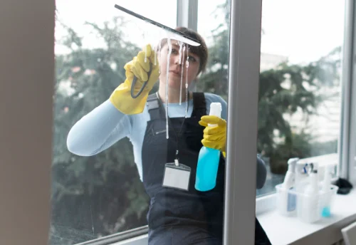 Nettoyage de vitres intérieures et extérieures à Poncins